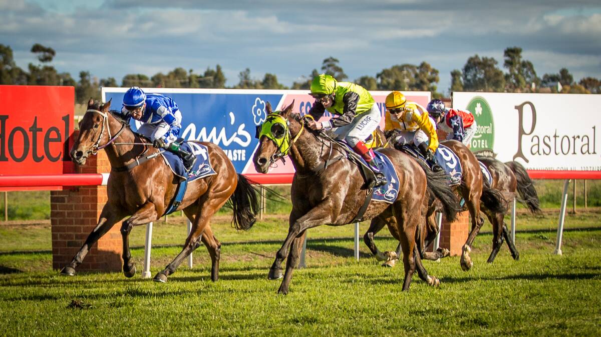 IT'S THAT TIME: Some of the region's best horses will be in action at Dubbo Turf Club on Sunday. Photo: JANIAN MCMILLAN (www.racingphotography.com.au)