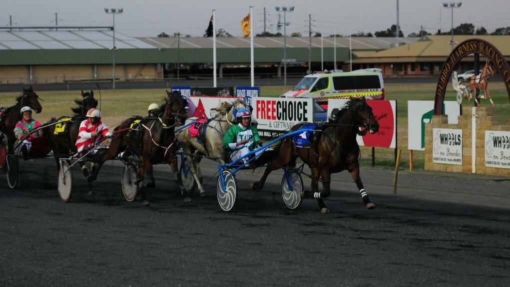 CHANGE IN FORTUNE: Curls Toby, pictured winning at Dubbo in the past, is out to bounce back from some disappointing runs. Photo: FILE