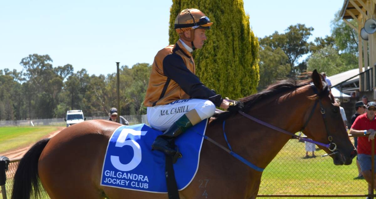PUT FORWARD: The Rodney Robb-trained Bryan's Babe, a last-start winner at Gilgandra, was one of the 123 nominations received for Sunday's eight-race meeting at Wellington. Photo: MARK RAYNER