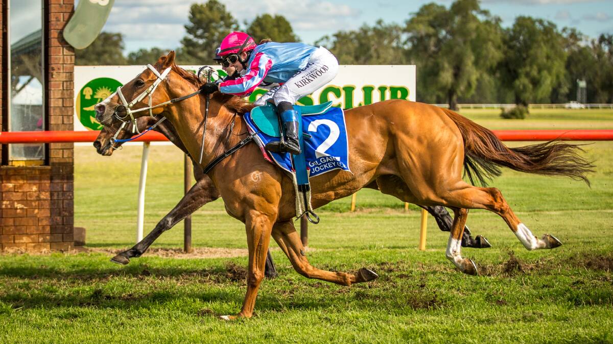 BRILLIANT RESULT: Brilliant Poet, pictured winning a tight race at Gilgandra last month, scored victory in Monday's Coonabarabran Cup. Photo: JANIAN MCMILLAN (www.racingphotography.com.au)