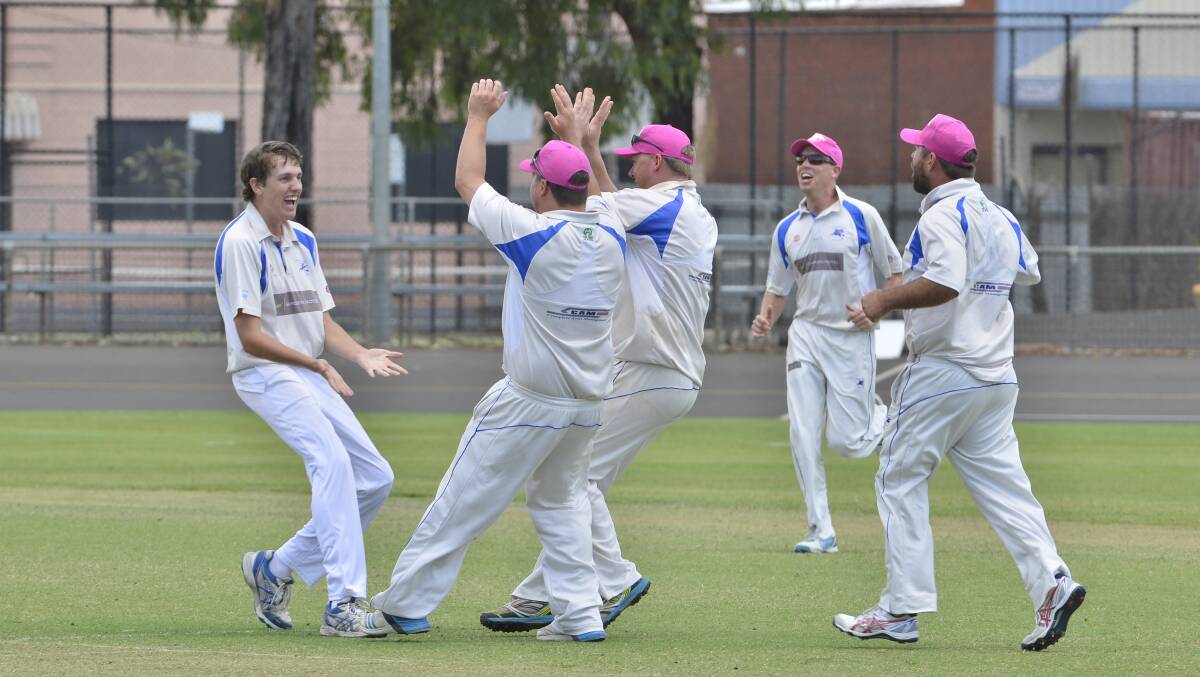 DOING A JOB: James Hughes, pcitured celebrating one of his wickets for Macquarie, enjoyed a breakout season with the Blues. Photo: BELINDA SOOLE