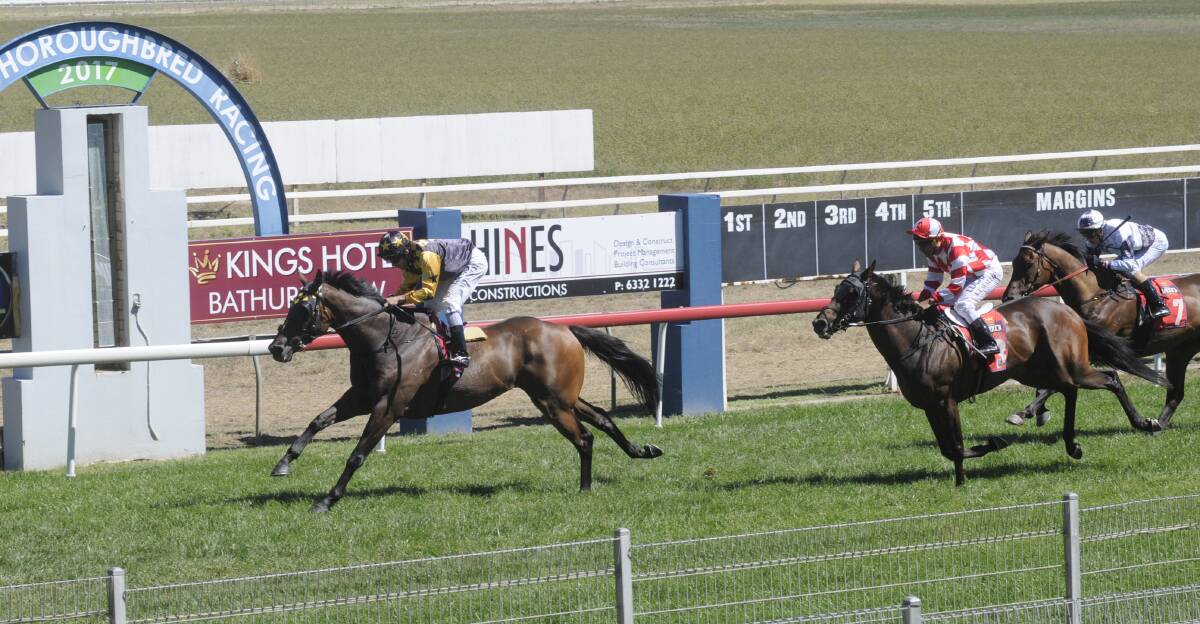 EARLY DOUBLE: Mitchell Bell guided Hirokin to victory at Bathurst on Monday afternoon. Photo: CHRIS SEABROOK