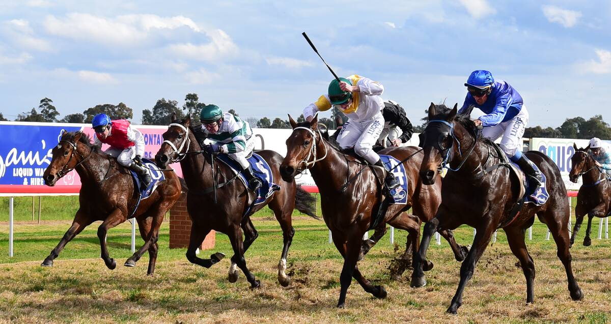 Galloping forwards: Racing at Dubbo Turf Club is set to benefit greatly following Racing NSW's announcement this week. Photo: BELINDA SOOLE