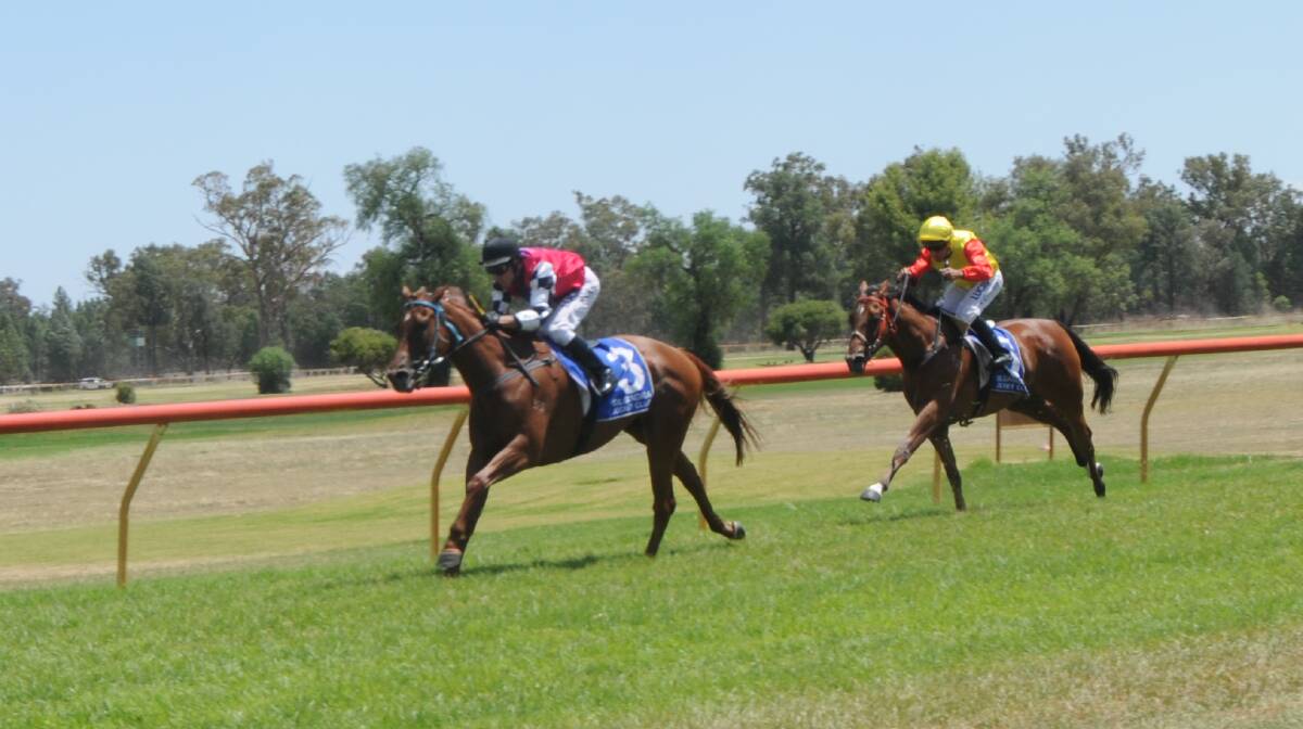 CHANCE: Artistic Beauty, pictured winning at Gilgandra earlier this month, will carry the top weight in Sunday's Cowra Cup. Photo: JENNIFER HOAR
