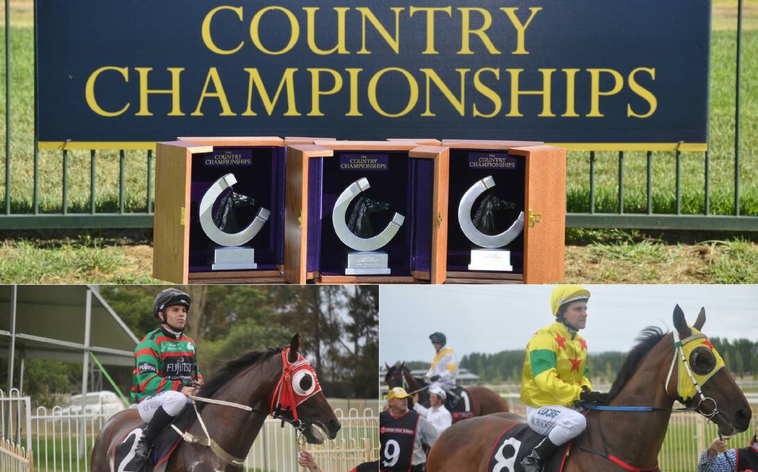 IT'S TIME: The Country Championships arrives Sunday and Coming In Hot (bottom left) and Tuncoona are among the nominees.