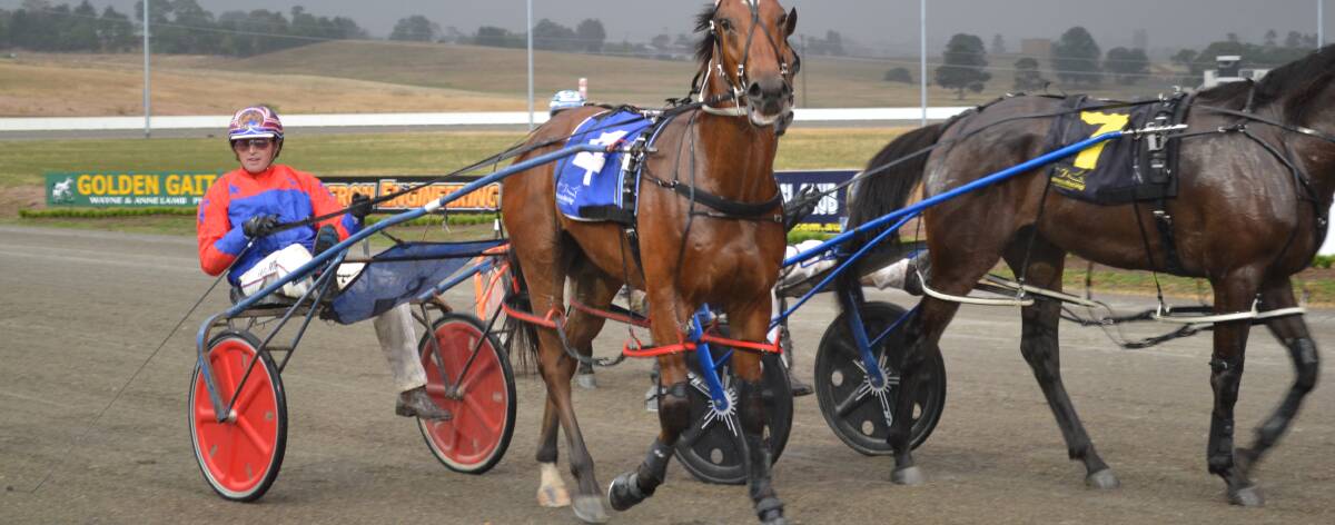 IN ACTION: Nathan Turnbull will drive Destiny Warrior on Wednesday.