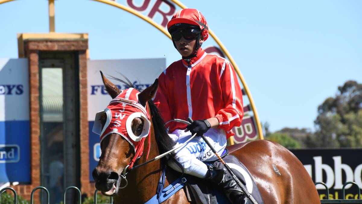 BACK IN THE SADDLE: Budding apprentice jockey Ronald Simpson returns to racing on Friday at the annual Christmas meeting at Warren, where temperatures are expected to go close to 40 degrees. Photo: BELINDA SOOLE