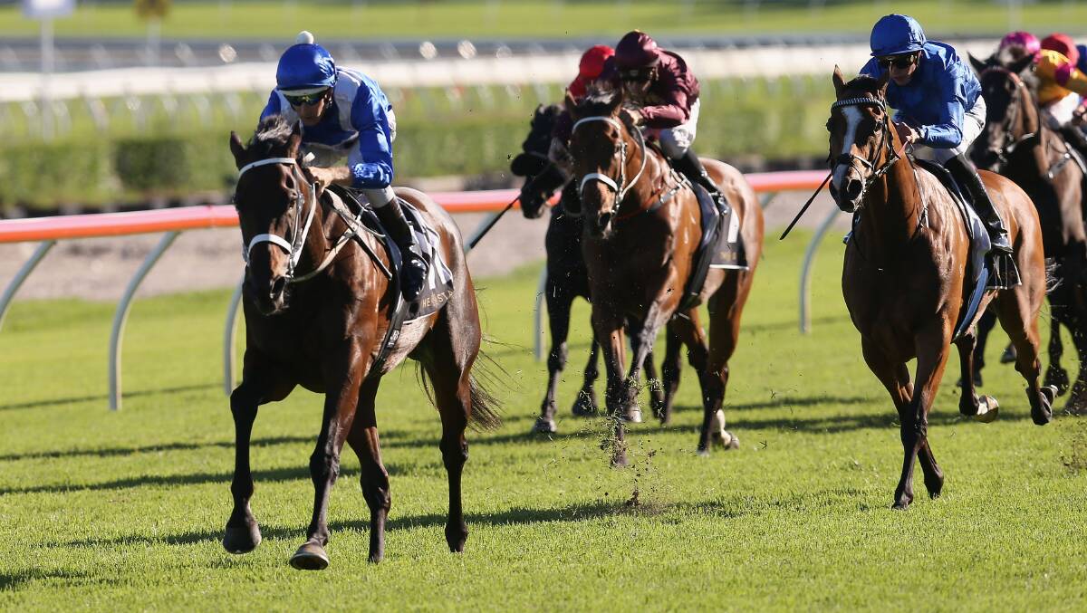 GOING AGAIN: Hugh Bowman and Winx will look to make it 15 straight wins when they line up in Saturday's Chipping Norton Stakes at Randwick. Photo: GETTY IMAGES