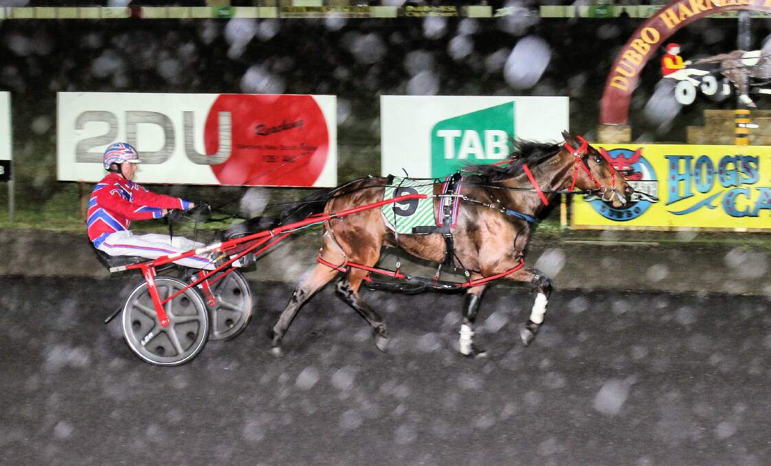 AS THE RAIN FALLS: Mitch Turnbull guides Casino Tommy to victory in the pouring rain at Dubbo on Wednesday night. Photo: COFFEE PHOTOGRAPHY