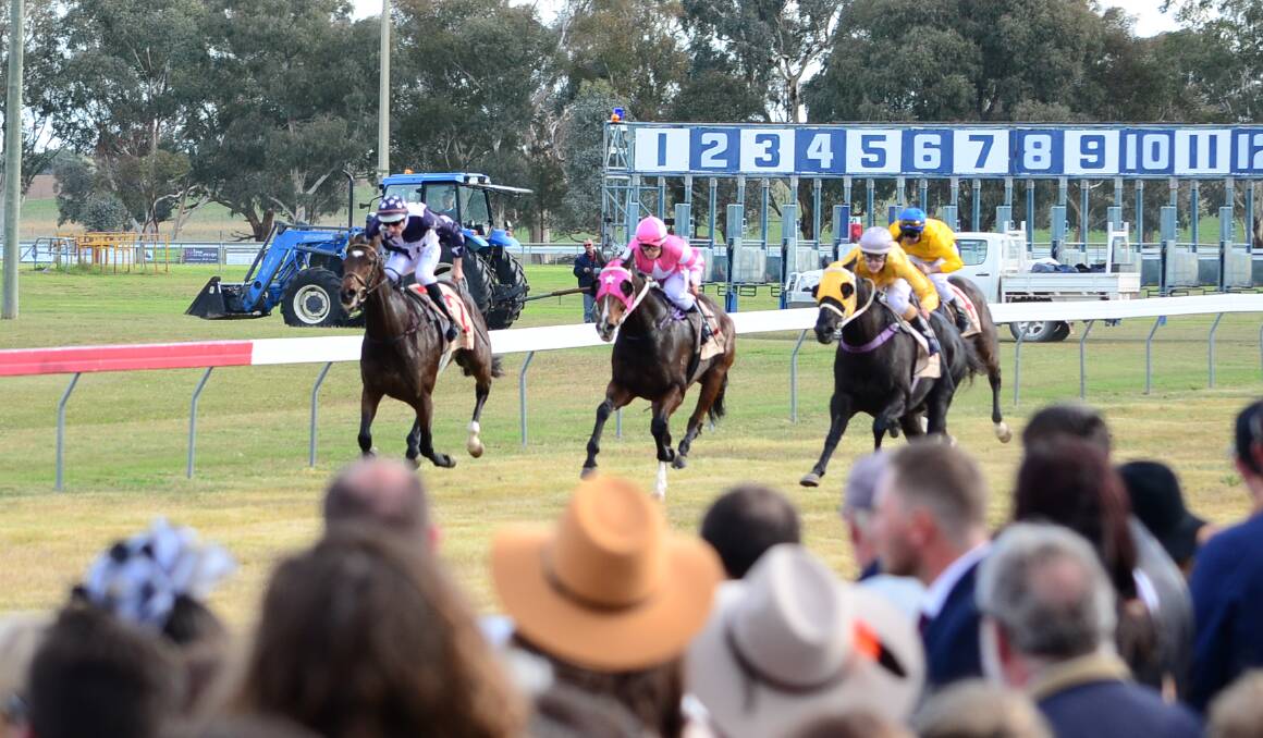 TOP EVENT: The NSW Picnic Champion Series final is set to be a real treat for race fans in Dubbo in September.