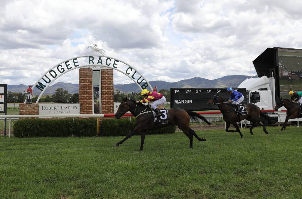 IMPRESSIVE: Chris Williams and Shadow Affair cross the line to win the second event at Mudgee on Friday. Photo: SIMONE KURTZ