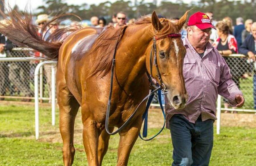 WRIGHT MAN FOR THE JOB: Parkes' George Wright has won the Racing NSW Picnic Trainers Premiership. Photo: JANIAN MCMILLAN (www.racingphotography.com.au)