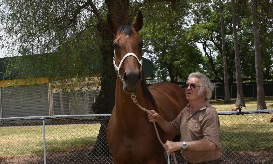TOO GOOD: Forbes' Barry Molloy with Lake Lugarno, who ran the fastest time of the night for the 1100 metres at Canterbury last Friday. Photo: FORBES ADVOCATE