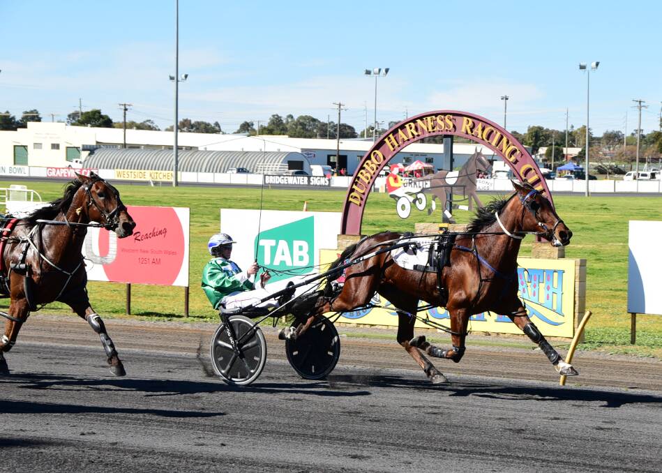MAX-IMUM EFFORT: Mat Rue guides Max Is Back to a convincing win at Dubbo Paceway on Sunday afternoon. Photo: BELINDA SOOLE