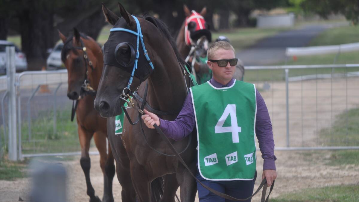 CONTENDER: Cameron Crockett with Prince Of Thebes, one of three hopes he has in Sunday's Qualifier. Photo: NICK MCGRATH