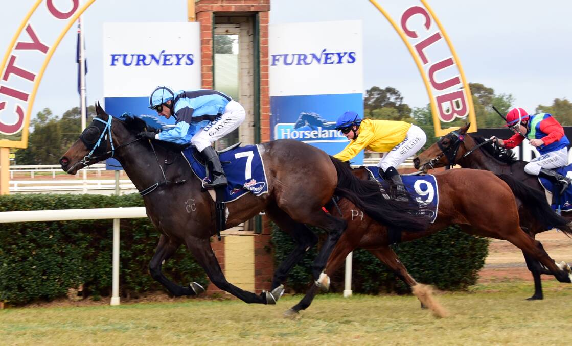 CLASS SHINES LATE: Barbass scored the second win of his career at Dubbo on Friday. Photo: BELINDA SOOLE