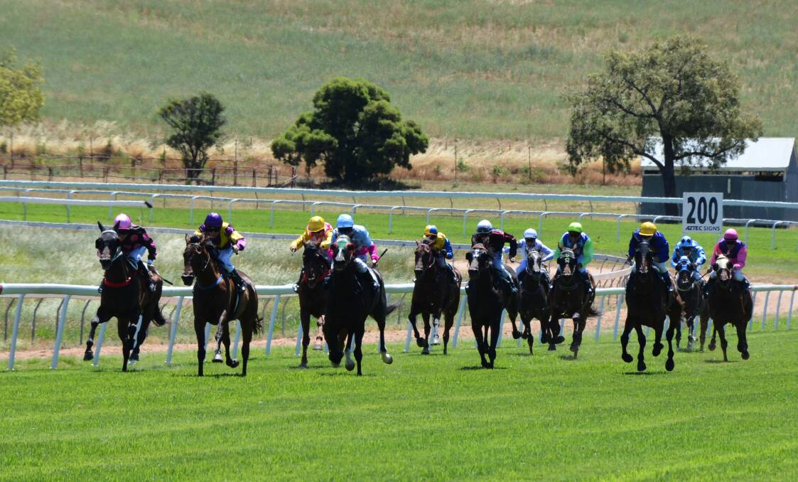 CRUISING TO VICTORY: Mi Estilo (second from left) benefiterd from a classy ride from Mathew Cahill when winning on Friday. Photo: NICK GRIMM