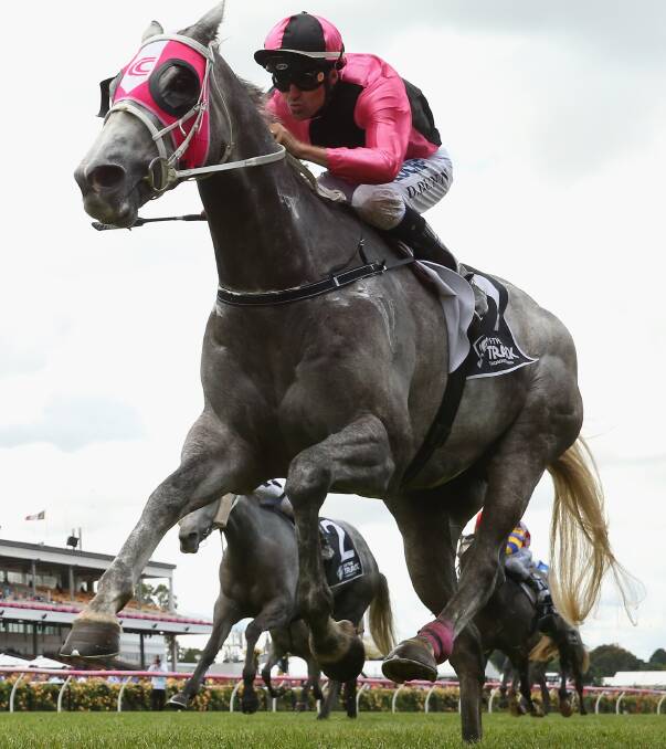 SEASON TO REMEMBER: Slate On Edge's win at Flemington may not have counted towards Brett Thompson's NSW premiership but it was still one of the Gulgong trainer's highlights of the 2015/16 season. Photo: GETTY IMAGES