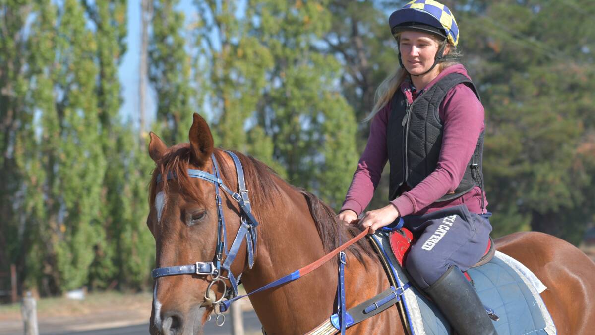 READY: Candice Duddek takes Paul Theobald's Soldier's Saddle contender, Tiger's Story, out for trackwork on the eve of the annual Soldier's Saddle event at Bathurst. Photo: ALEXANDER GRANT