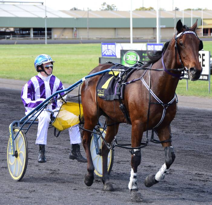AGAINST THE ODDS: Dubbo young gun Tom Pay will drive veteran Snoop Stride from gate nine in Friday's Star Trek final at Bathurst Paceway. Photo: BELINDA SOOLE