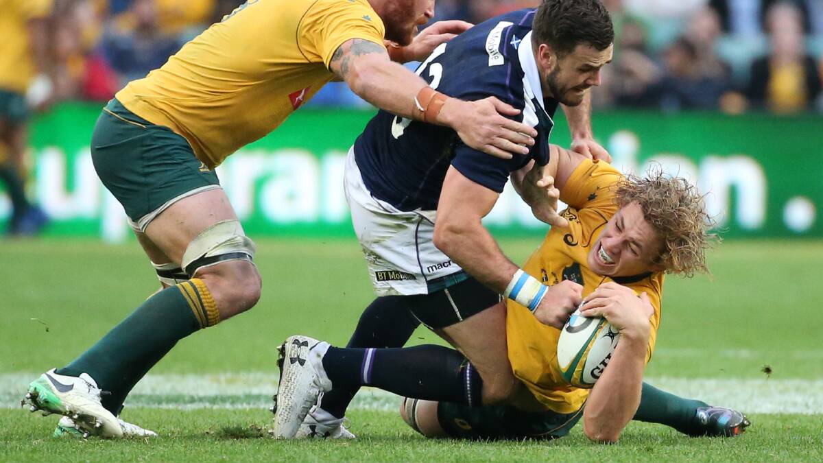 MISSING OUT: Ned Hanigan, pictured in action against Scotland earlier this year, won't get to take on that opposition again this weekend after suffering a knee injury. Photo: DAVID MOIR/ AAP