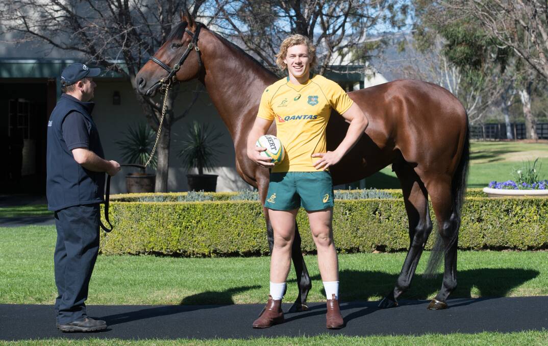 SADDLE UP: Ned Hanigan, pictured at Coolmore with American Pharoah, will start for the Wallabies on Saturday night. Photo: KATRINA PARTRIDGE