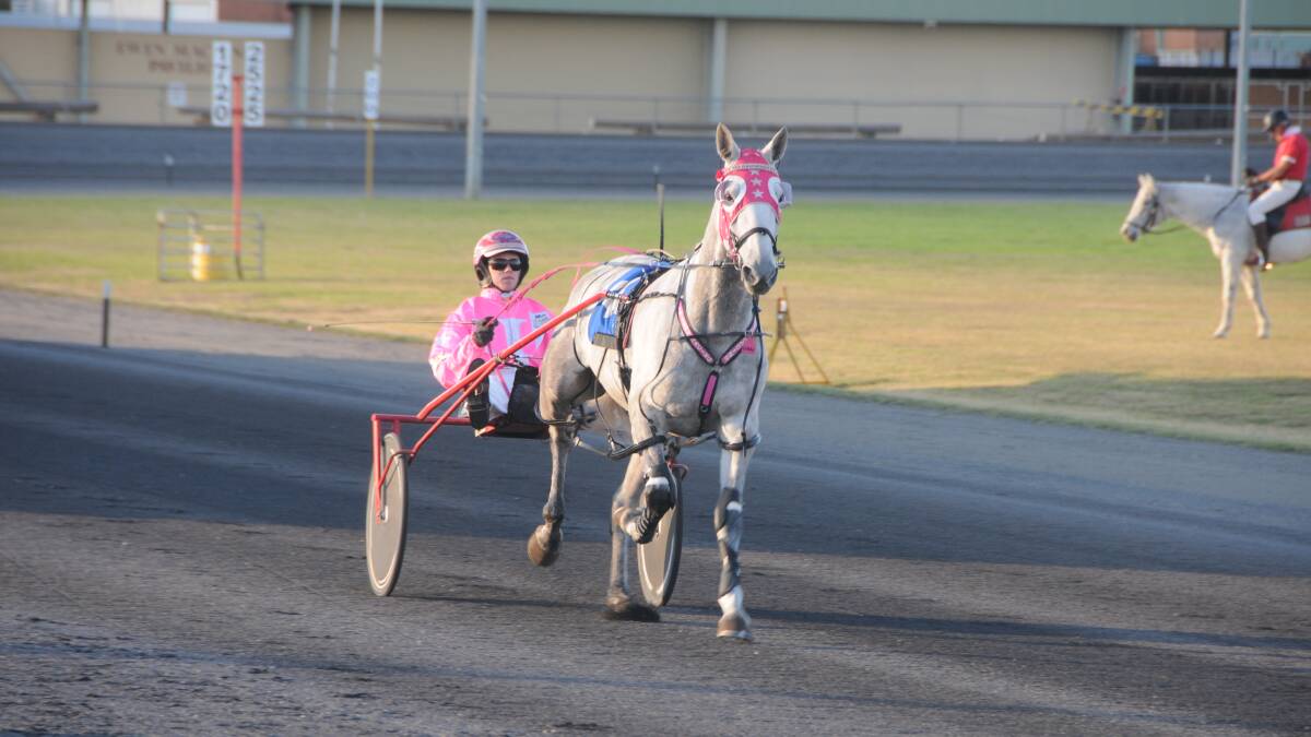 COMFORTBALE: Chis Geary and My Rona Gold won one of the Red Ochre Classic heats with ease on Sunday. Photo: NICK GUTHRIE