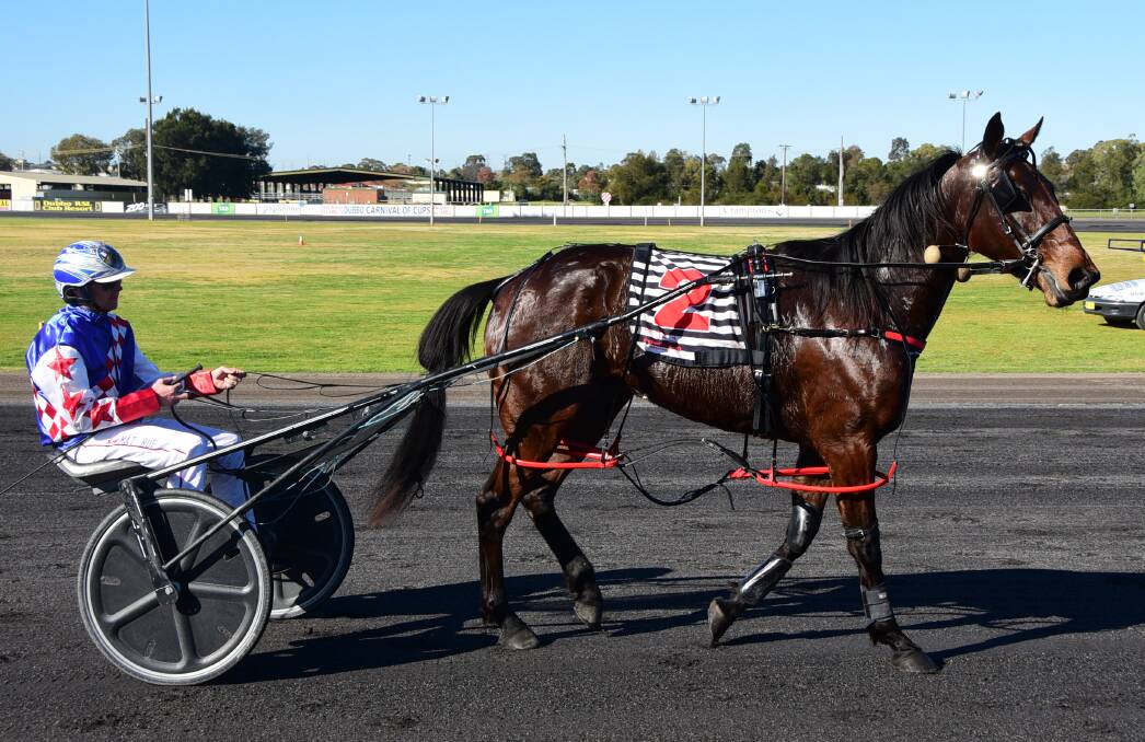 IN THE WINNER'S CIRCLE: Allnight Mlady, pictured after a win at Dubbo last month, scored another win at the track on Sunday. Photo: BELINDA SOOLE