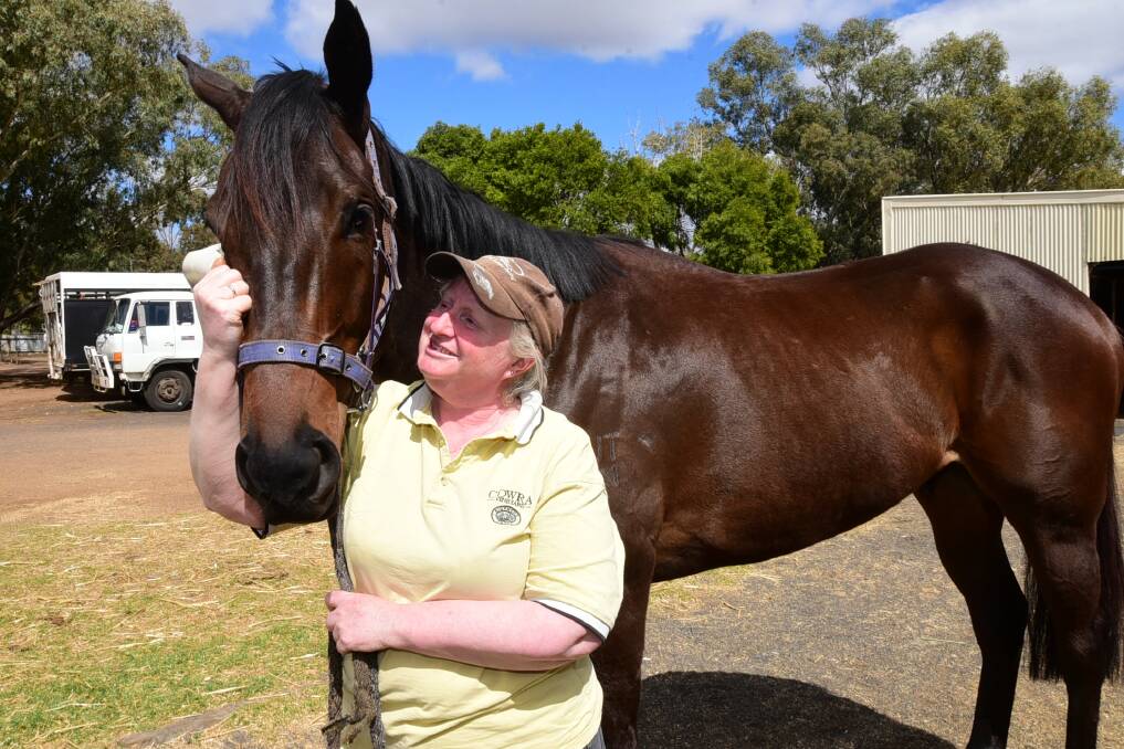 READY: Strapper Helen Quinn with Clint Lundholm's Gold Cup contender, Dreadlock. Photo: BELINDA SOOLE