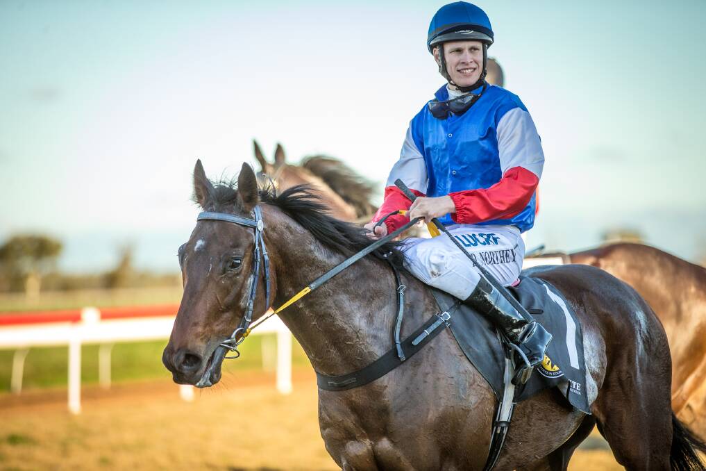 CONTENDER: Daniel Northey and the Cecil Hodgson-trained A Magic Zariz sat in the second line of betting heading into Sunday's $150,000 Qualifier at Dubbo Turf Club. Photo: JANIAN MCMILLAN (www.racingphotography.com.au)
