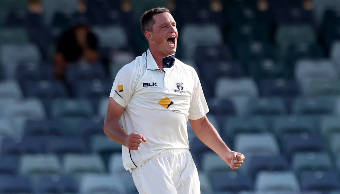 THE BEST: Chris Tremain has been named the Sheffield Shield's player of the year. Photo: AAP/Richard Wainwright