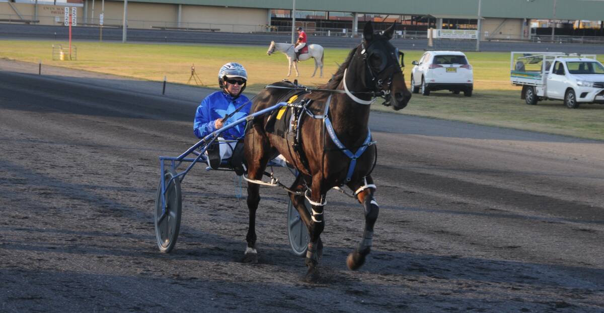 CONTENDER: Jarrod Alchin is confident about the chances of Ima Mystery Girl on Friday night. Photo: BELINDA SOOLE