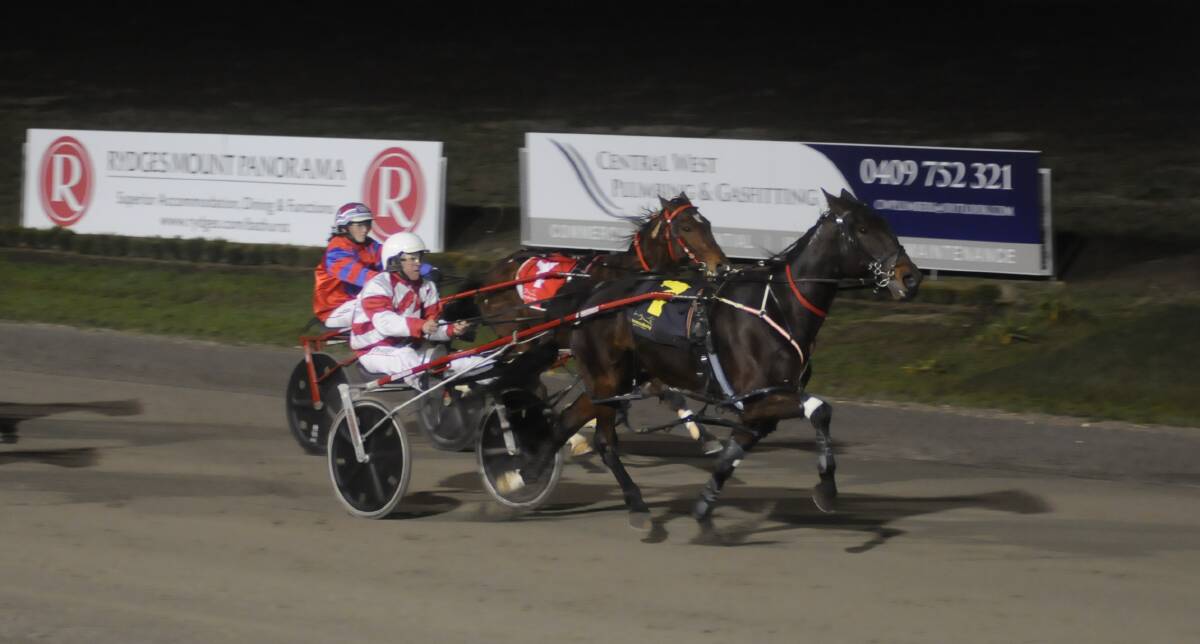 CUP HUNTING: Nathan Hurst's stable star Saloon Passage will line up in Friday night's Oberon Cup at the Bathurst Paceway. Photo: CHRIS SEABROOK