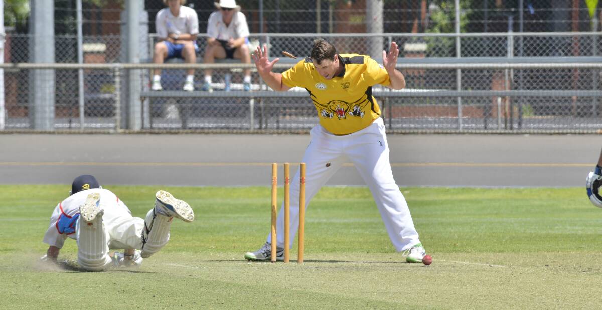 HE'S OUT: Newtown all-rounder Steve Skinner celebrates the run out of Rugby's James O'Brien during the Tigers' four-wicket Whitney Cup victory at No. 1 Oval on Saturday. Photo: BELINDA SOOLE