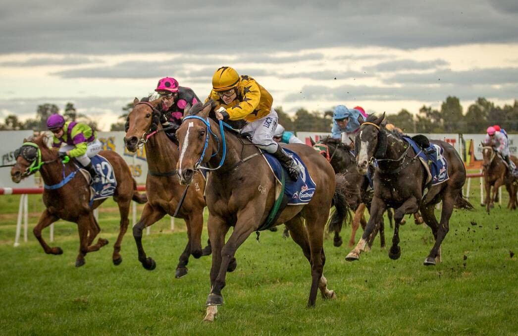 IN FORM: Damien Lane's Mosaytion, pictured winning at Dubbo last month, will race at Wellington on Sunday. Photo: JANIAN MCMILLAN (www.racingphotography.com.au)