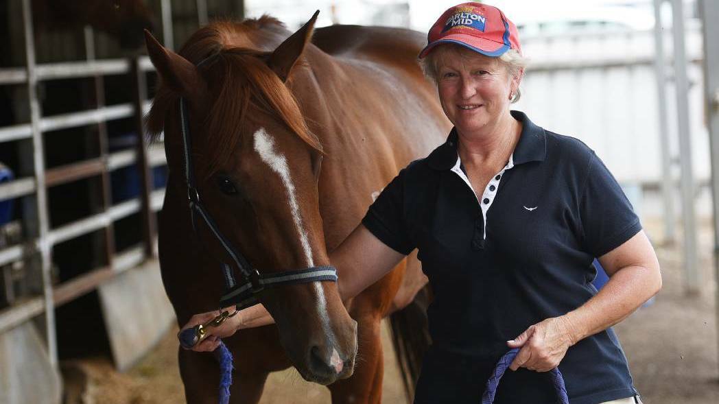 WINNING: Sue Grills, bound for Wellington on Monday, has enjoyed success at a number of tracks recently. Photo: NORTHERN DAILY LEADER