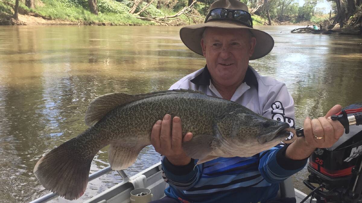 Pictured is Inland Waterways vice president Mick O’Neill with a Murray cod. 