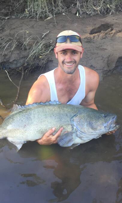 What a catch: Grant McConnell recently caught and released this impressive 108cm Murray Cod on the Macquarie River near Dubbo. 