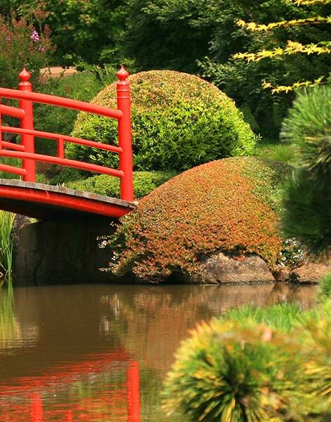 WHAT A PICTURE: The Japanese garden, Shoyoen, will help you to relax as you wander and explore all its treasures.