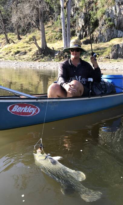 Catch: A huge Murray cod spawning event has been detected below Menindee Lakes. Pictured is Harry Harnwell with a Murray cod caught on a Fishizzle Spinner Bait. 