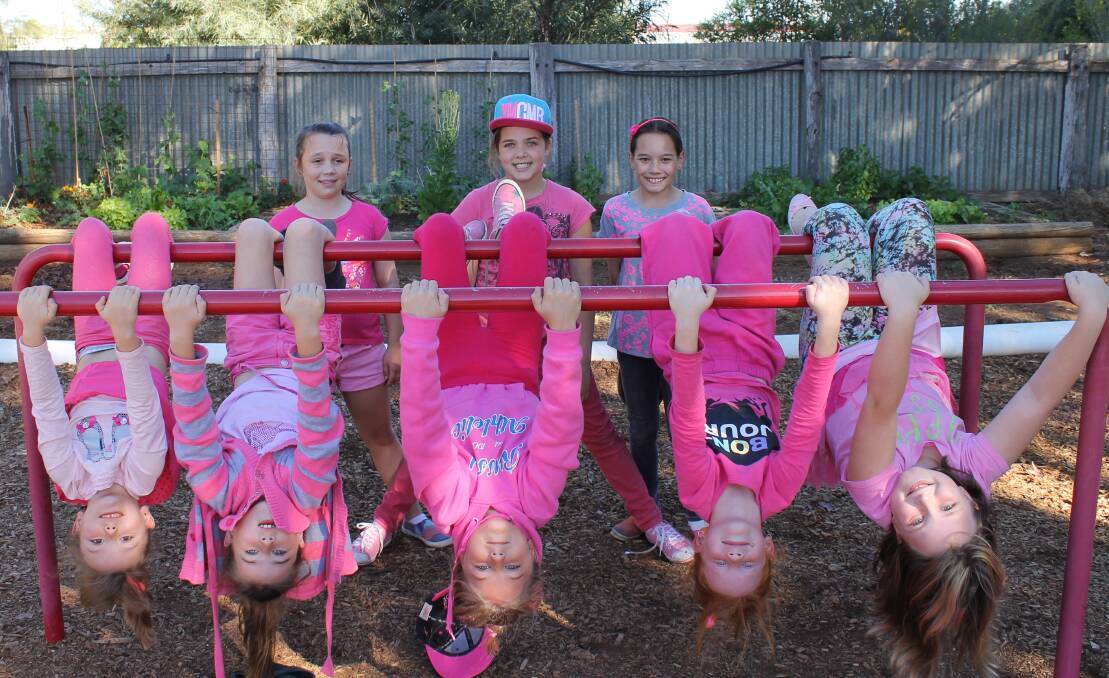 GOING PINK: Pink Day is on again next Thursday at Dubbo North Public School.