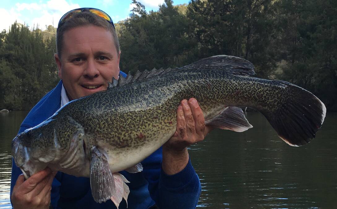 Gone Fishing: National day for fishers on October 16. Pictured is Dubbo Catches author Matt Hansen with a Macquarie River Murray cod.  