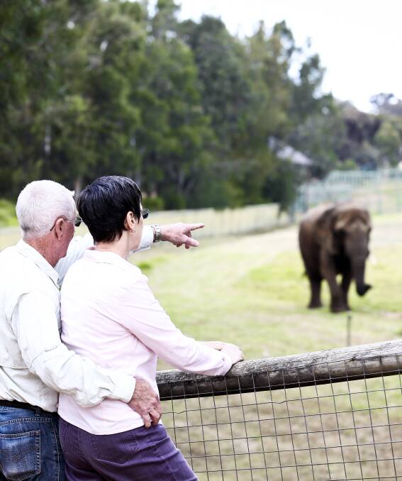 SENIORS WEEK: There's plenty to see and do at your local zoo.