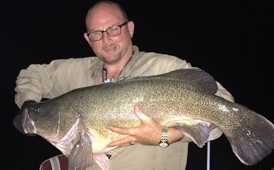 BOOM time: Lincoln McBroom with one of four huge Murray Cod he caught and released last week in the Macquarie River at Dubbo.