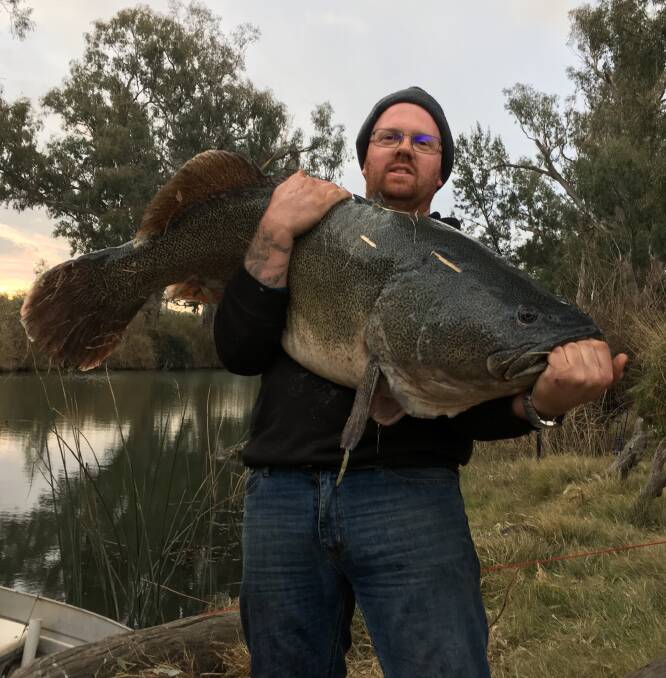 WHAT A CATCH: Nick Wright with a giant 116cm Murray cod he caught and released. Photo: CONTRIBUTED