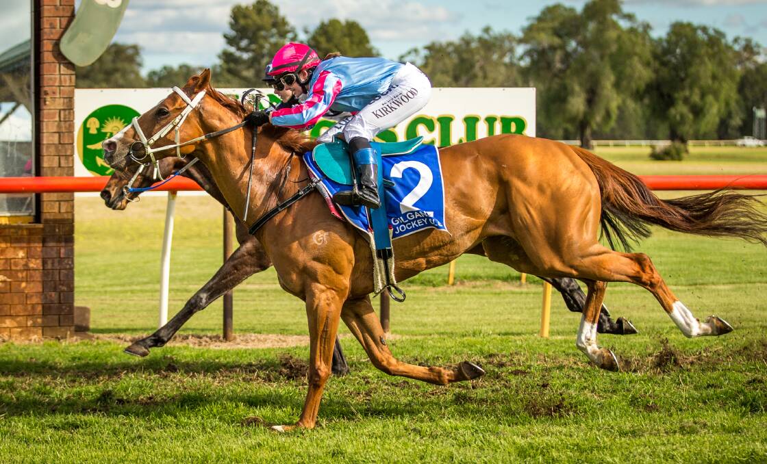 So close: Brilliant Poet (#2) finishes a nose in front of Super Pig at Gilgandra. Photo: JANIAN MCMILLIAN (www.racingphotography.com.au)