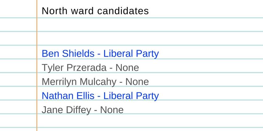 Candidates and the political parties they belong to, according to their NSW Electoral Commission information sheets.