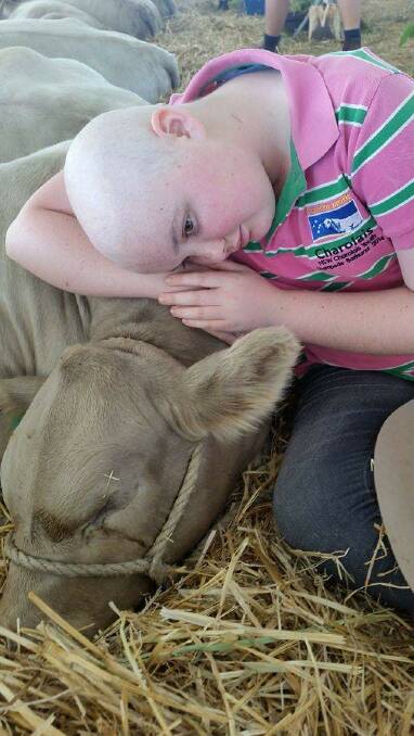 Teagan Ferguson with one of the cattle that she loves taking care of. Photo: CONTRIBUTED