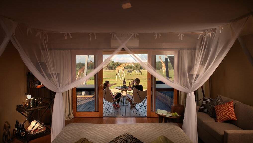 Taronga Western Plains Zoo's Zoofari Lodge has been nominated as a contender for the NSW Tourism Awards' Unique Accommodation category. Photo: CONTRIBUTED