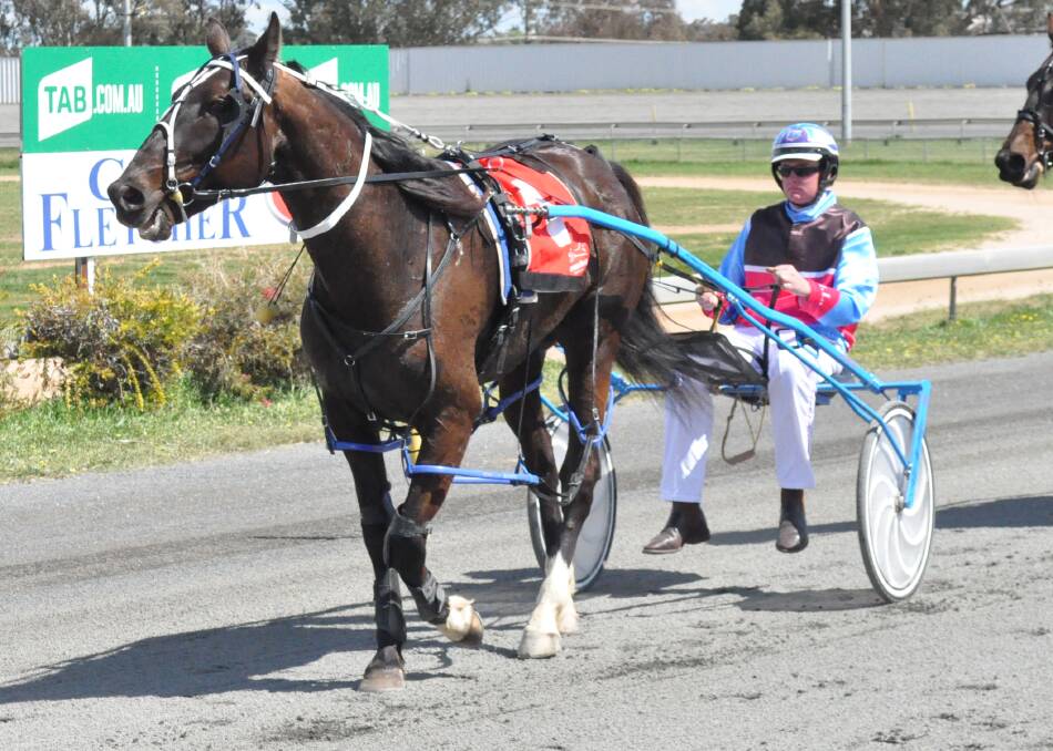 Sweet success: Mister Jogalong was a winner at Dubbo on Saturday night over 1720 metres. Photo: FILE